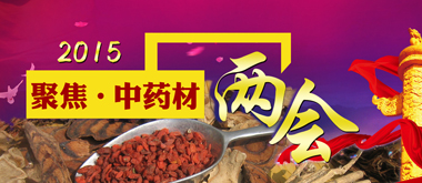 �۽��ɕ�(hu��)--2015�ɕ�(hu��)֮��ˎ��